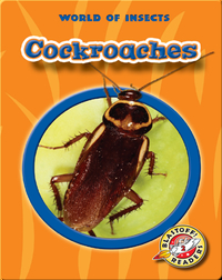 World of Insects: Cockroaches
