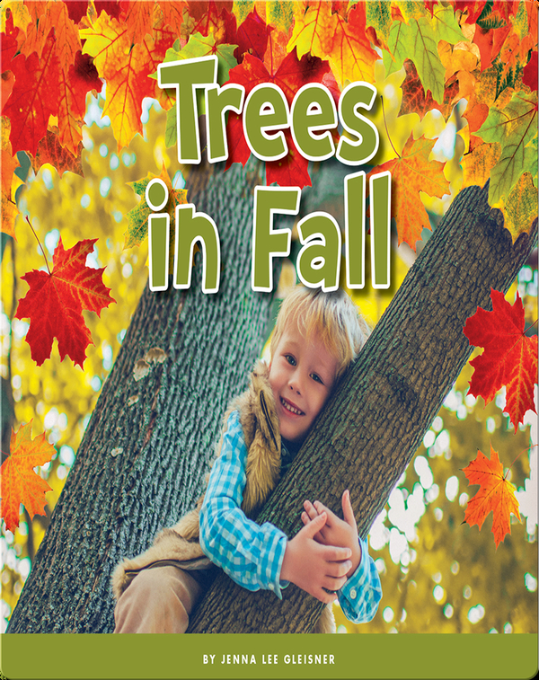 Trees in Fall