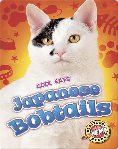 Cool Cats: Japanese Bobtails