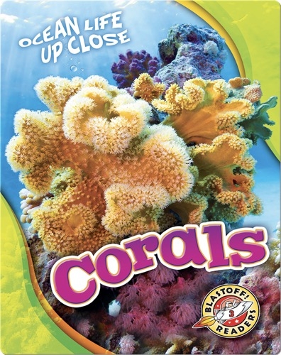 Ocean Life Up Close: Corals