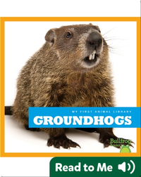 My First Animal Library: Groundhogs