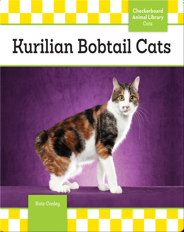 Kurilian Bobtail Cats