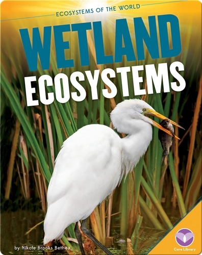 Wetland Ecosystems