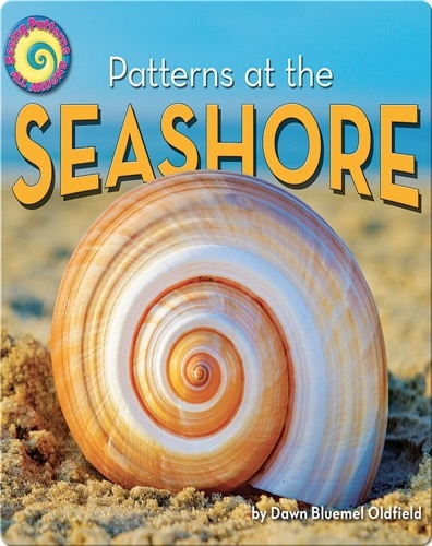 Patterns at the Sea Shore