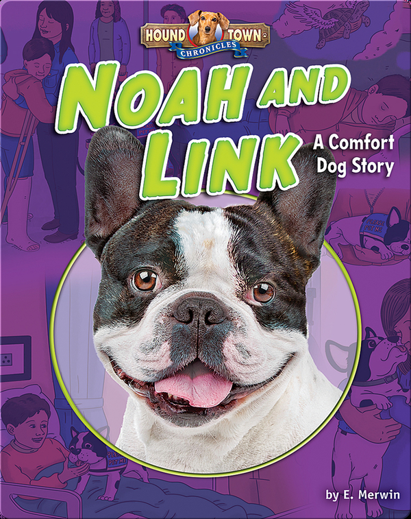 Noah and Link: A Comfort Dog Story