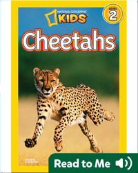 National Geographic Readers: Cheetahs