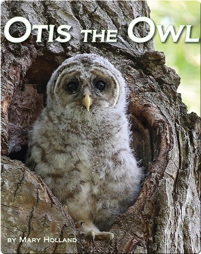 Otis the Owl