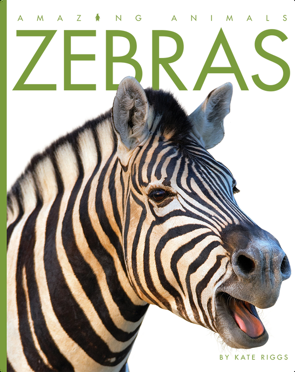 Zebras Children's Book by Kate Riggs Discover Children's Books