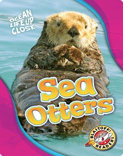 Ocean Life Up Close: Sea Otters