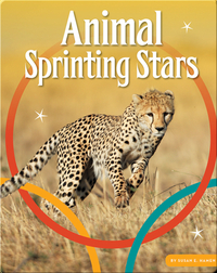 Animal Sprinting Stars