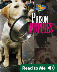 Prison Puppies
