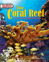 The Coral Reef: A Giant City Under the Sea