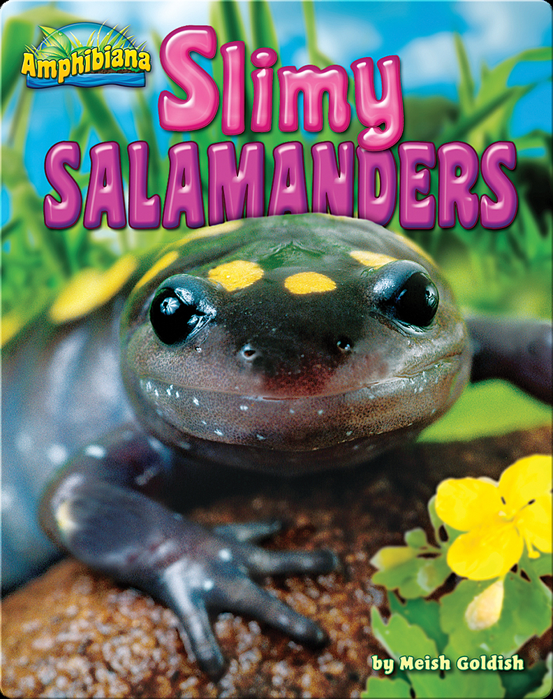 Slimy Salamanders Children's Book by Meish Goldish Discover Children's Books, Audiobooks