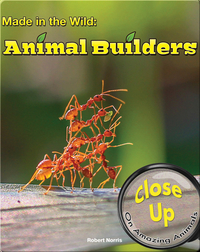Made in the Wild: Animal Builders