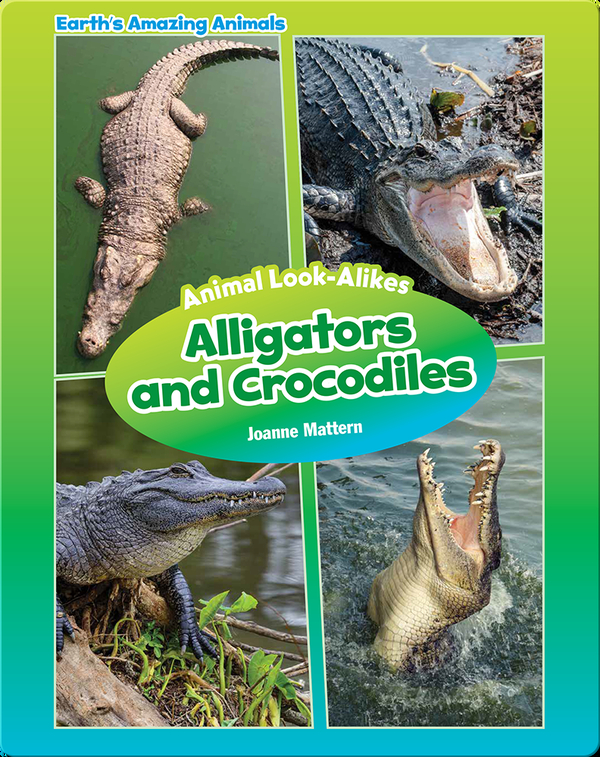 Alligators and Crocodiles Children's Book by Joanne Mattern Discover