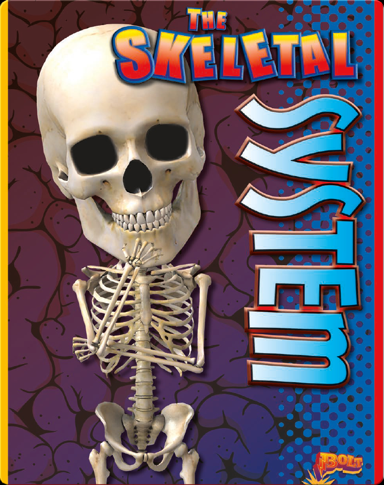 The Skeletal System Children's Book by Barbara Lowell Discover Children's Books, Audiobooks