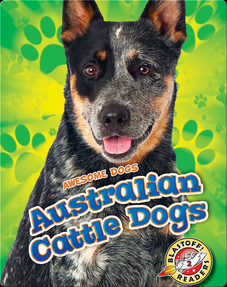 Australian Cattle Dogs Children's Book by Lindsay Shaffer Discover