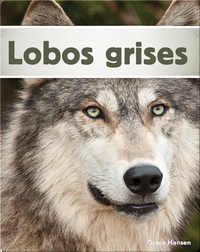 Lobos grises