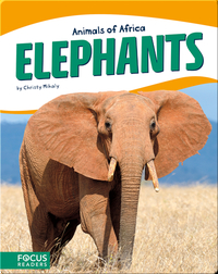 Animals of Africa: Elephants