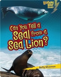 Can you tell a Seal from a Sea Lion?