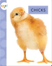 Baby Farm Animals: Chicks