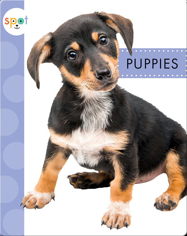 Baby Farm Animals Puppies Children S Book By Anastasia Suen Discover Children S Books Audiobooks Videos More On Epic