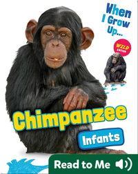 Chimpanzee Infants