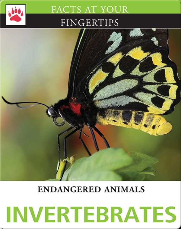 Endangered Animals: Invertebrates