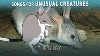 Songs for Unusual Creatures: The Bilby