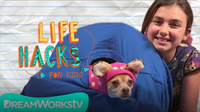 Cat Hacks (With Your Dog) I LIFE HACKS FOR KIDS