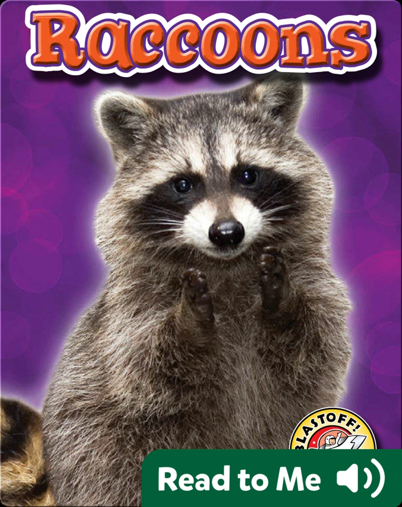 Raccoons Backyard Wildlife Children's Book by Emily Green Discover Children's Books