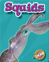 Squids: Oceans Alive