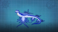 I’m A Blue Dragon Fish