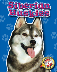 Siberian Huskies: Dog Breeds