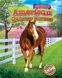 Saddle Up!: American Quarter Horses