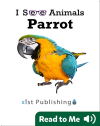 I See Animals: Parrot