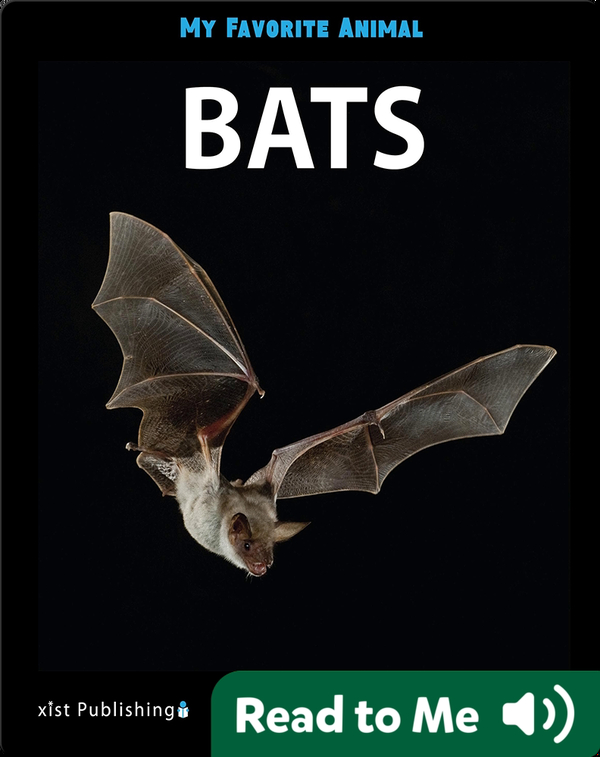 My Favorite Animal Bats Children's Book by Victoria Marcos Discover