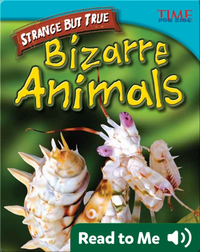 Strange but True: Bizarre Animals