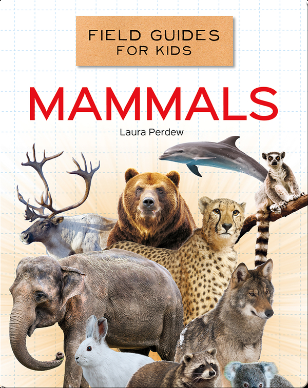 Field Guides for Kids: Mammals