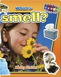 What is Smell?