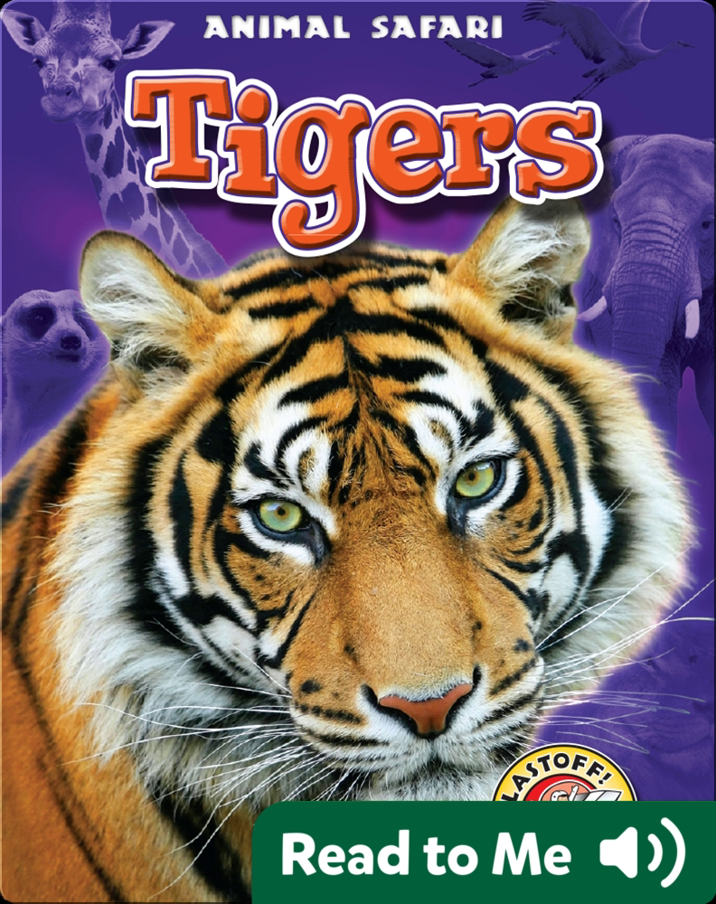Тайгер книга. Книга с тигром на обложке. Тигр с книгой. Команда тигров книги. Король тигров обложка.