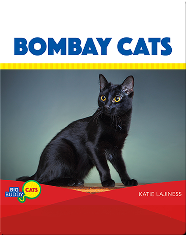 Bombay Cats Children's Book by Katie Lajiness | Discover ...