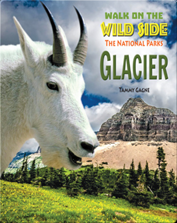 Walk on the Wild Side: Glacier Children's Book by Claire O'Neal