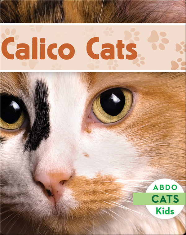 Calico Cats Children's Book by Meredith Dash | Discover Children's