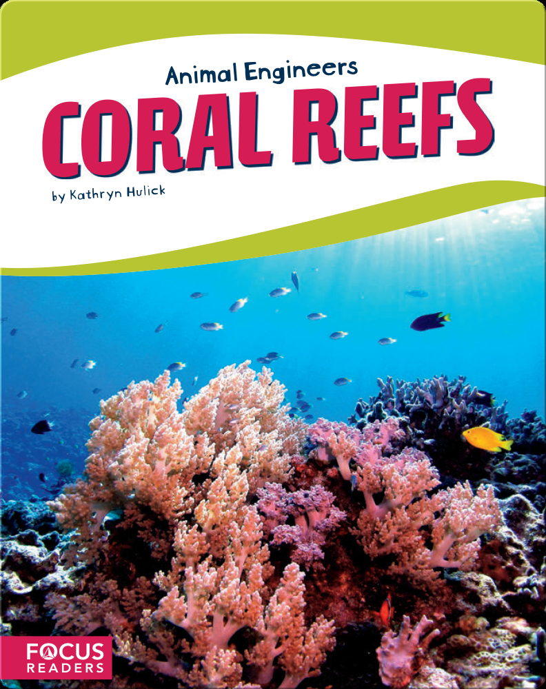 珊瑚礁讀本 