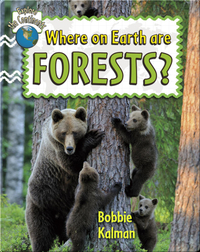 Where on Earth are Forests?