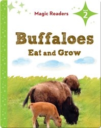 Magic Readers: Buffaloes Eat and Grow