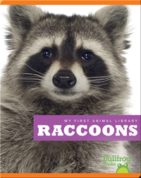 My First Animal Library: Raccoons