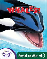 Whales!