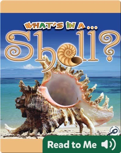 What's In A... Shell?